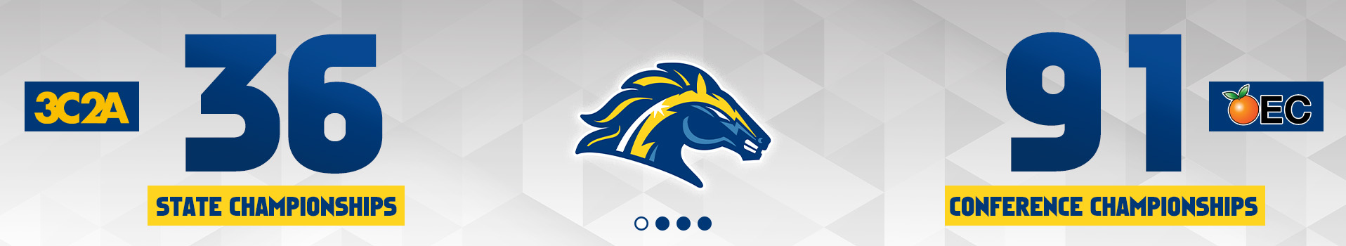 Championship Banner